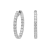 EHoop_1CT_W_1.png